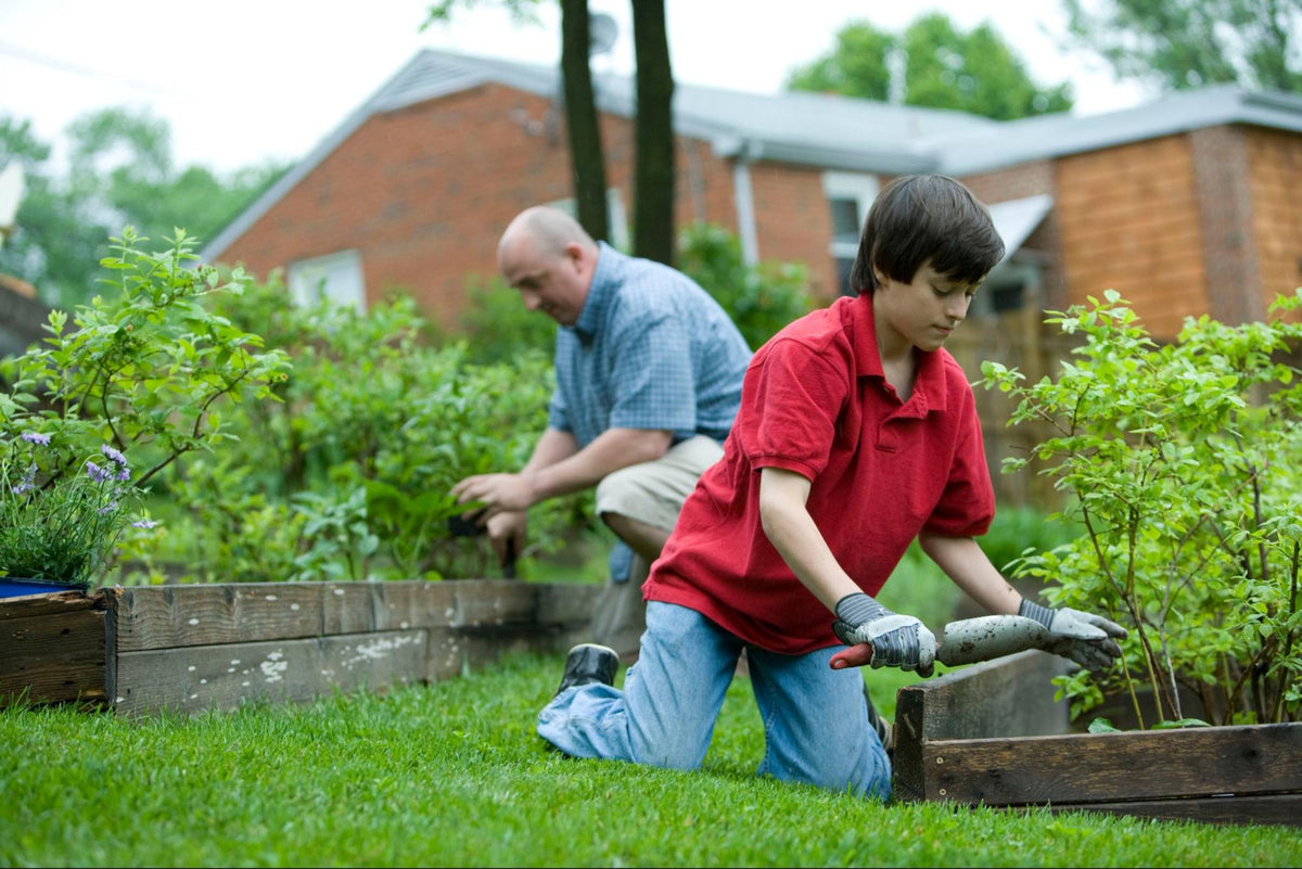 The Powerful Benefits of Using Goat Manure as a Fertilizer GOAT Soap
